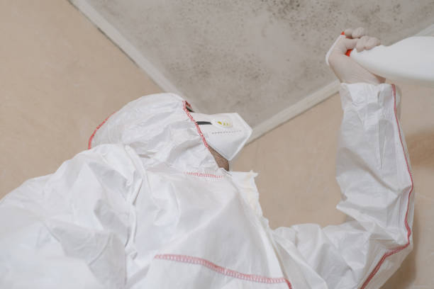 Best Emergency Mold Remediation in Tinton Falls, NJ